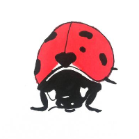 Ladybird