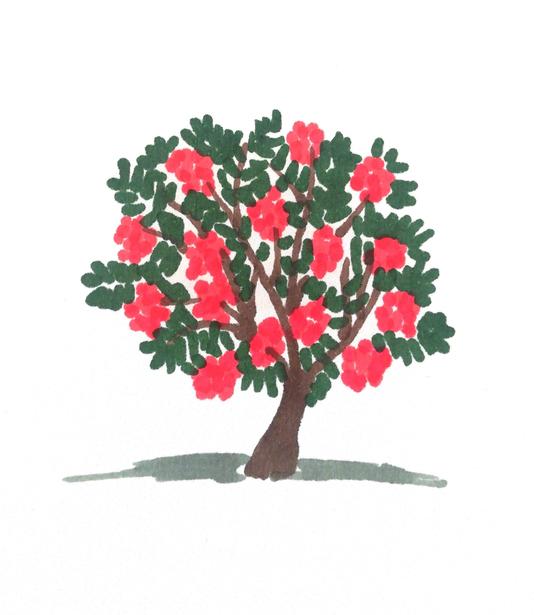 Rowan tree