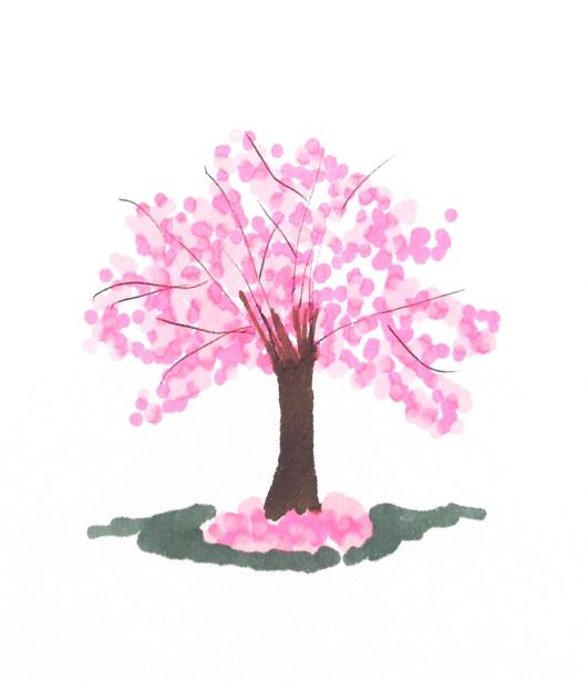 Cherry tree
