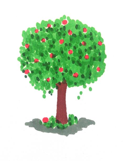 Apple tree